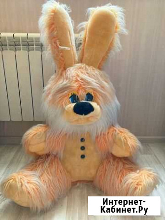 Большой заяц Курск - изображение 1