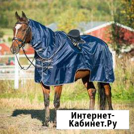 Амуниция для лошади Старая - изображение 1