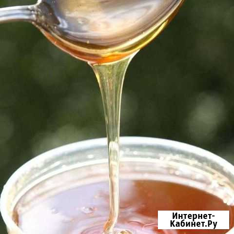 Пчелопродукты, мед, соты Бавлы - изображение 1
