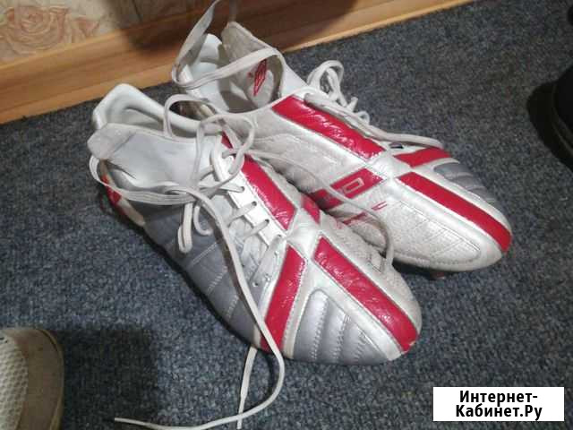 Футбольные бутсы Umbro Чебоксары - изображение 1