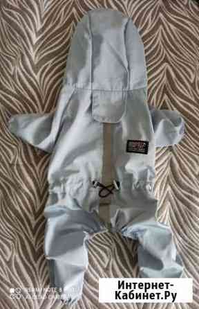 Комбинезон для собаки Ижевск