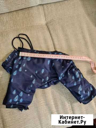 Комбинезон для маленькой собачки Челябинск - изображение 1