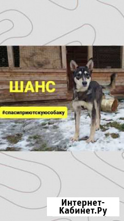Шанс Ухта - изображение 1