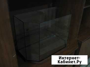 Аквариум Ижевск - изображение 1