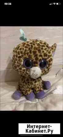 Жираф Мурманск