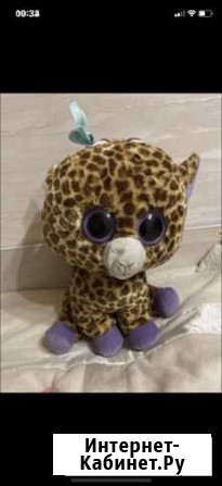 Жираф Мурманск - изображение 1