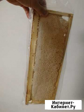 Сотовый мед липовый Санкт-Петербург - изображение 1