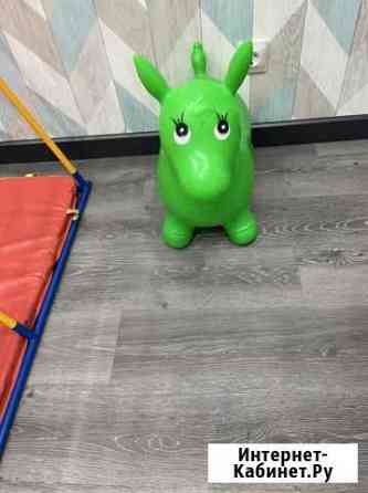 Ослик попрыгун Улан-Удэ