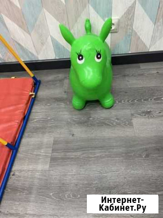 Ослик попрыгун Улан-Удэ - изображение 1