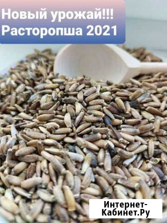 Расторопша Барнаул - изображение 1