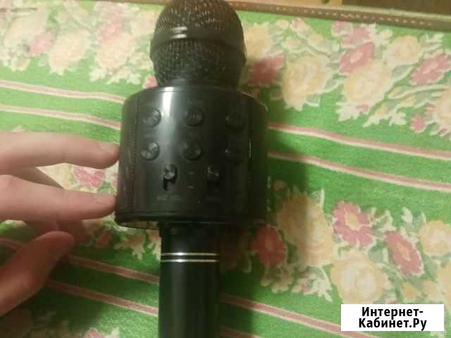 Колонка с микрофоном Ульяново - изображение 1