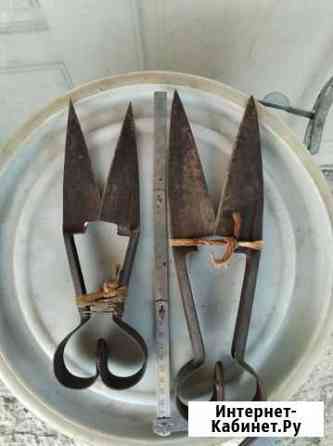 Ножницы овечьи Воронеж