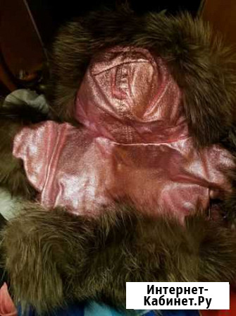 Куртка для собаки,натуральная кожа,отделка чернобу Калуга - изображение 1