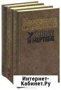 Классика художественной литературы Железногорск