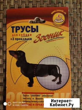 Трусы для собак Реутов - изображение 1
