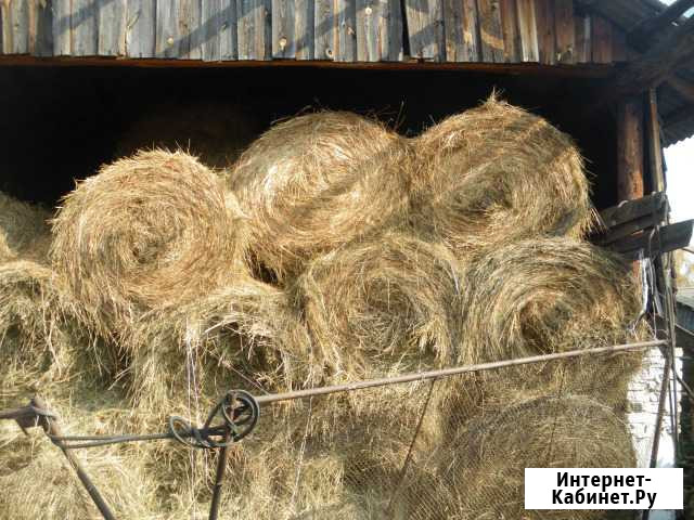Продам сено, или обменяю на предложенное Курагино - изображение 1