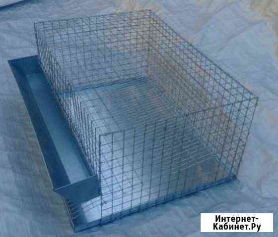 Клетка на 20 перепелов Астрахань