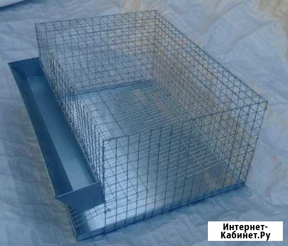 Клетка на 20 перепелов Астрахань - изображение 1