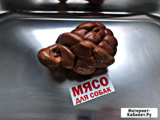 Почки говяжьи / мясо для собак Александров - изображение 1