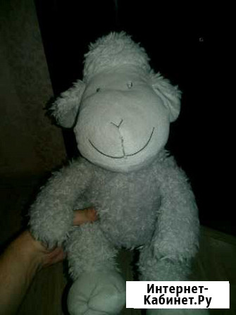 Овечка Новосибирск - изображение 1