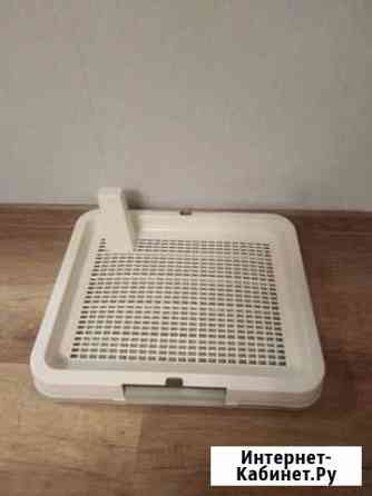 Лоток для собак Киров