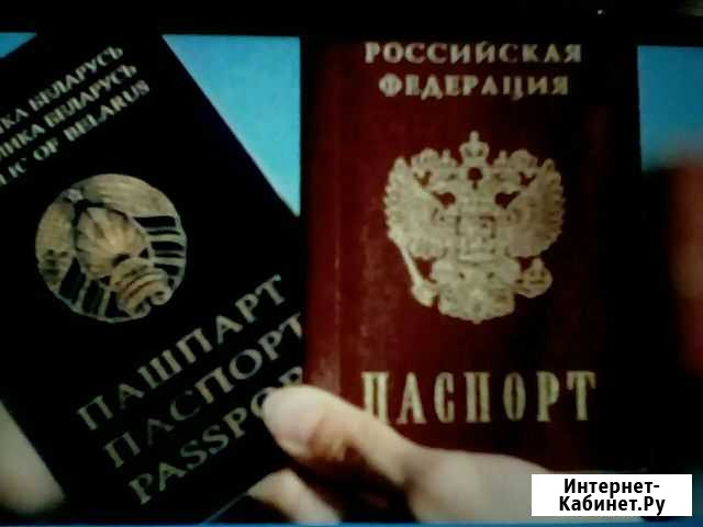 Деловые услуги Белгород - изображение 1