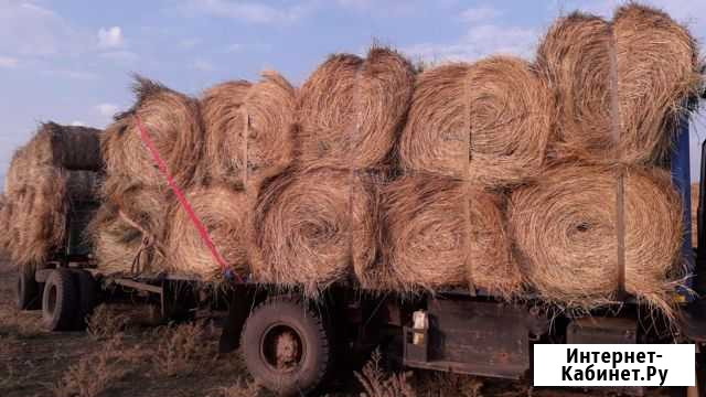 Сено Калач-на-Дону - изображение 1