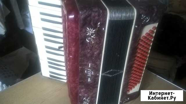 Аккордеон Тула Челябинск - изображение 1
