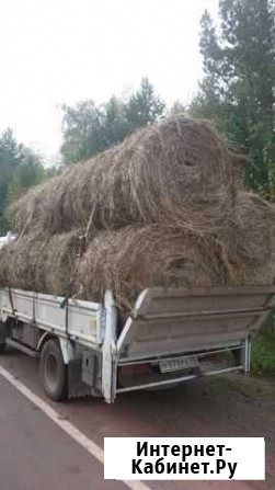 Продам сено в рулонах Братск - изображение 1