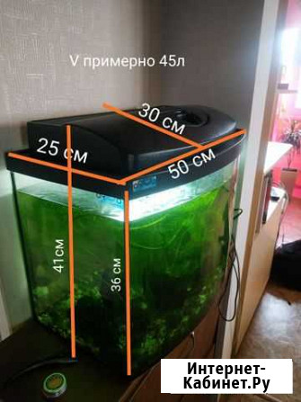 Аквариум Севастополь - изображение 1
