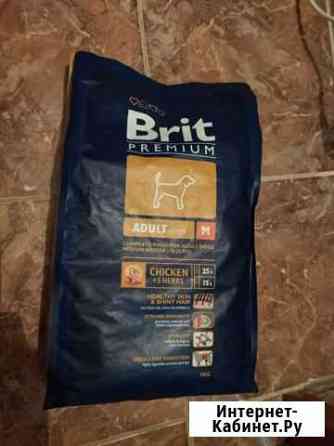 Сухой корм для собак Brit Premium, курица 3 кг (дл Старый Оскол