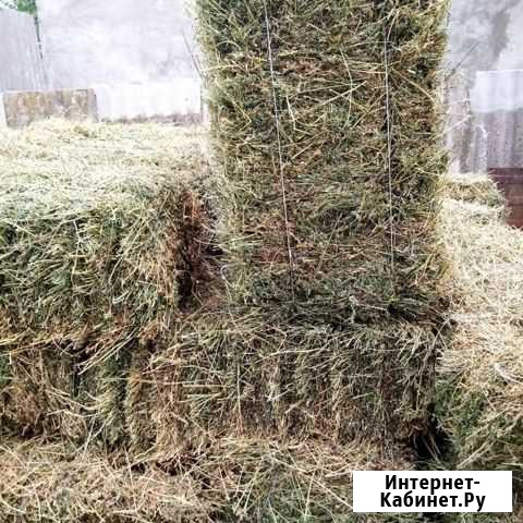 Сено Егорлыкская - изображение 1