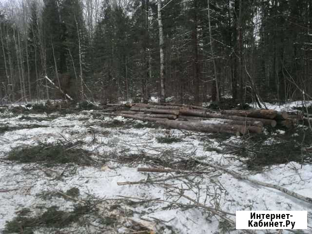 Рабочие в лес Вельск - изображение 1