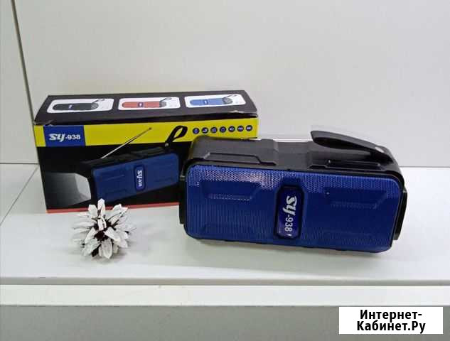 Колонка SY-938 Черемхово - изображение 1