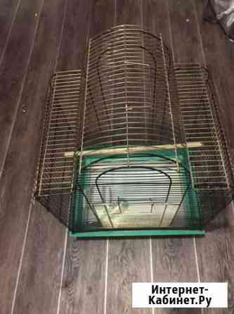 Клетка Чита