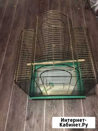 Клетка Чита - изображение 1