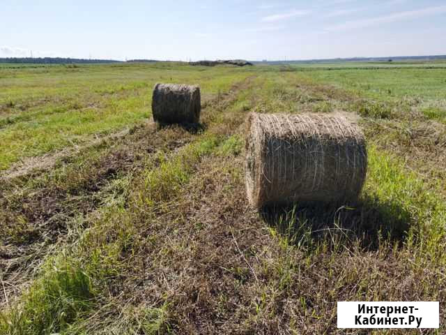 Сено в рулонах Белореченский - изображение 1