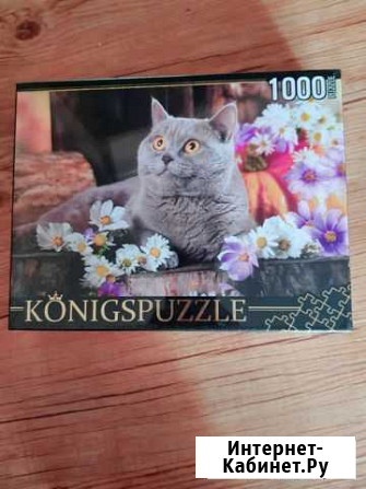 Пазлы новые Петропавловск-Камчатский - изображение 1