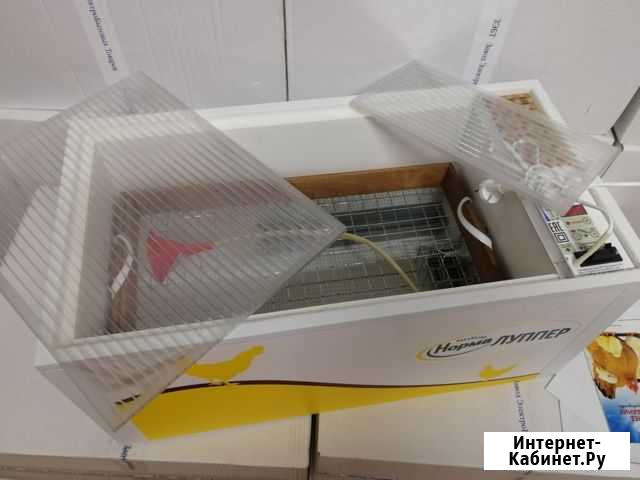 Инкубатор Блиц норма луппер 72 Краснодар - изображение 1