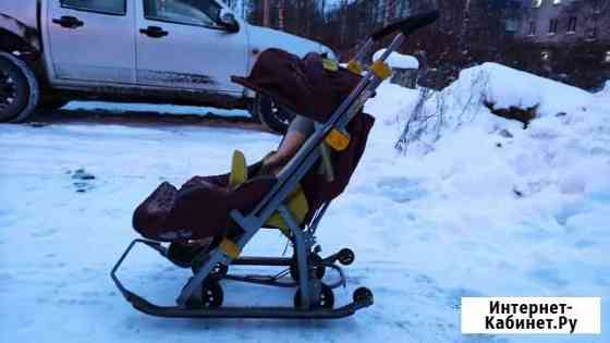 Санки коляска Архангельск