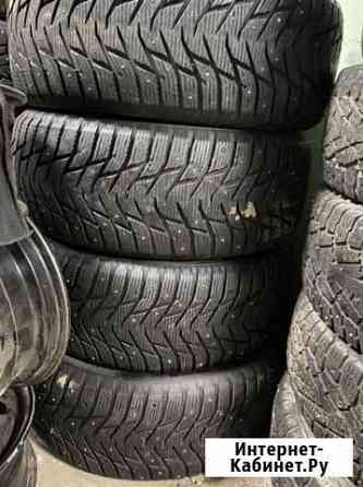 Sailun 235/55 R17 Кингисепп