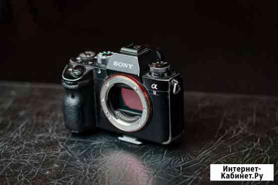 Фотоаппарат Sony A9 Body Сочи