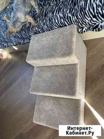 Лестница для собак и кошек Хабаровск