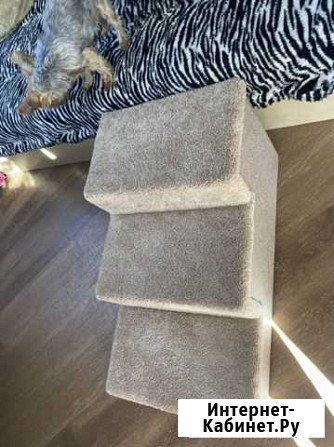 Лестница для собак и кошек Хабаровск - изображение 1