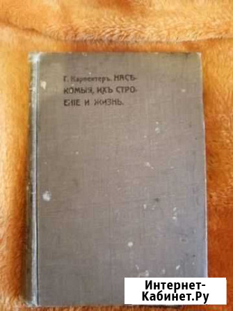 Книга 1903 года издания Электросталь - изображение 1