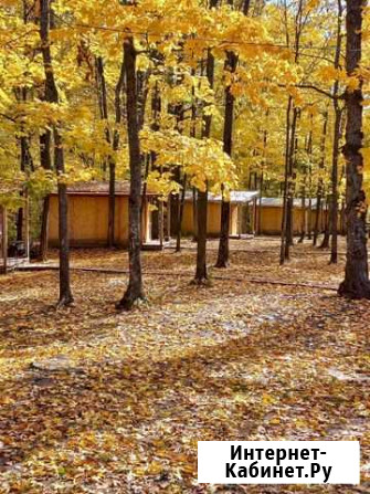 Аренда беседок в зоне отдыха Forest-Парк Чебоксары - изображение 1