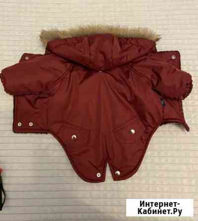 Одежда для собак мелких и средних пород Нижний Новгород