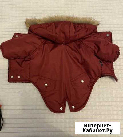 Одежда для собак мелких и средних пород Нижний Новгород - изображение 1