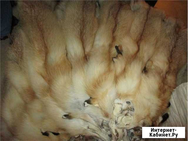 Выделка шкур Бердск - изображение 1
