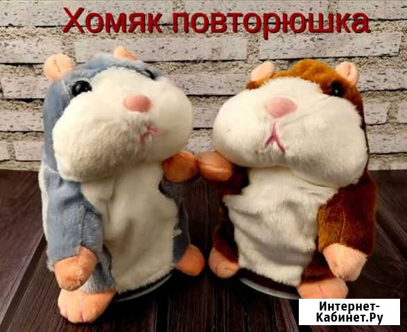 Хомяк Повторюшка Серов - изображение 1